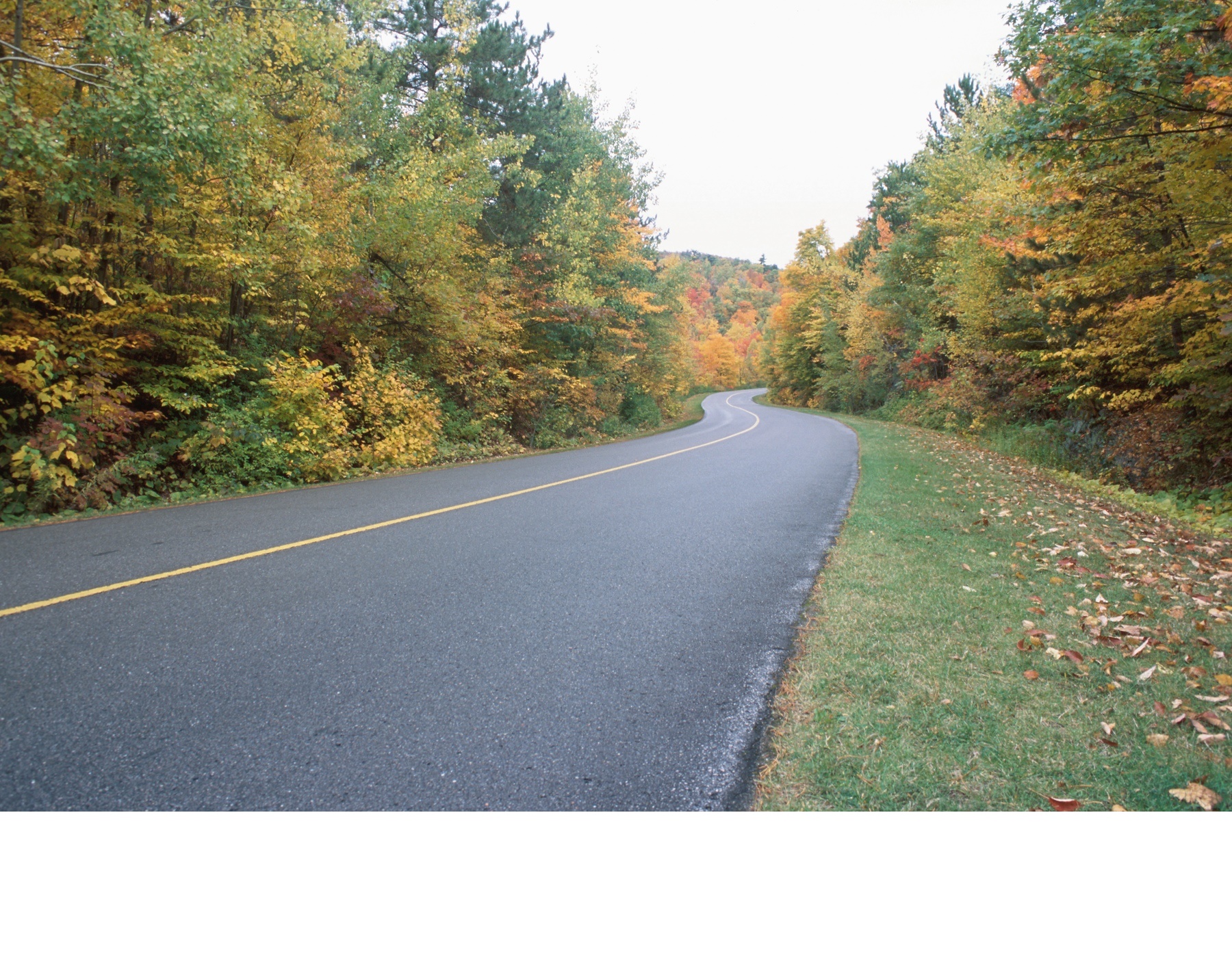 Hearings Continue on Minnesota Ditch Mowing