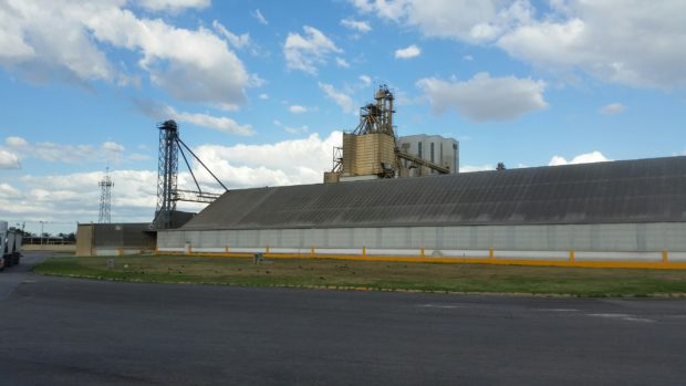 Growing Mexican Livestock and Poultry Industry Increases Demand for U.S. Feed