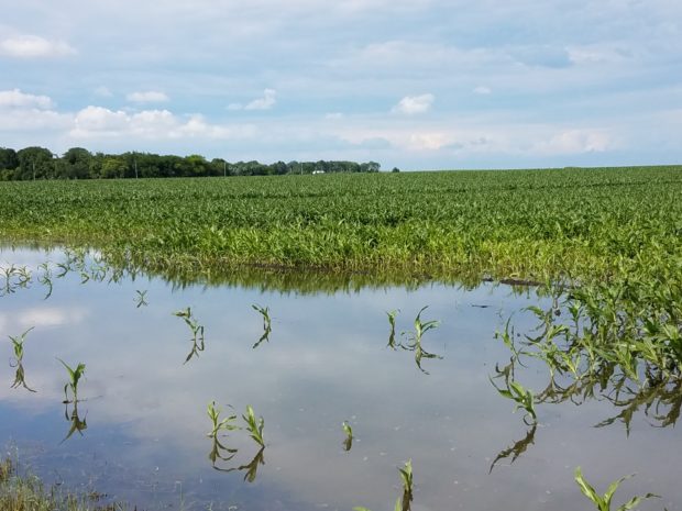 Sioux Falls Area First in the Nation in Flood Warnings Sioux Falls Area First in the Nation in Flood Warnings