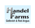 Handel Farms Gelbvieh and Red Angus Bull Sale