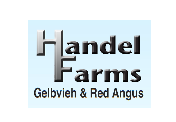 Handel Farms Gelbvieh and Red Angus Bull Sale