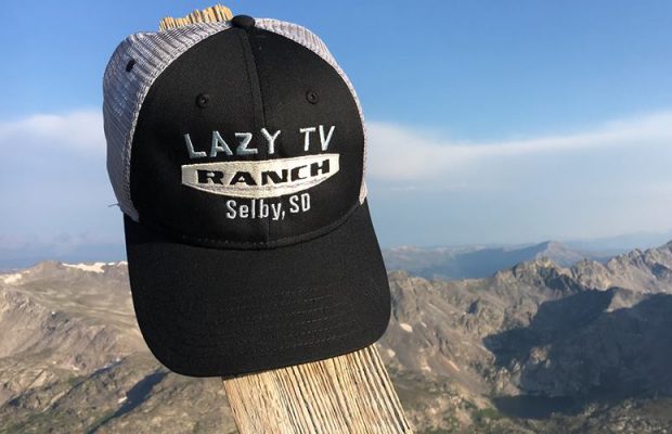 Thorstenson Gelbvieh and Angus Bull Sale