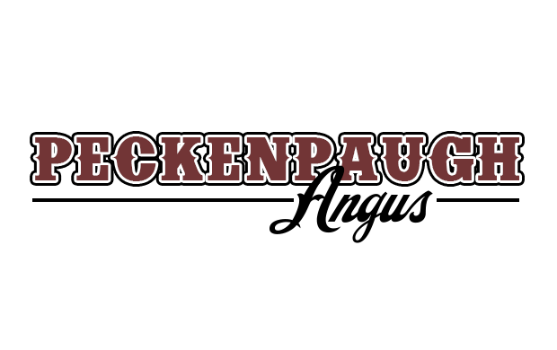 Peckenpaugh Angus Annual Bull Sale