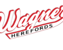 Wagner Herefords Open House and Online Sale