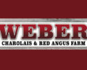 Weber Charolais and Red Angus Annual Bull Sale