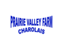 Prairie Valley Farm Charolais Sale