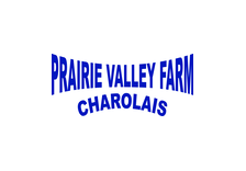 Prairie Valley Farm Charolais Sale
