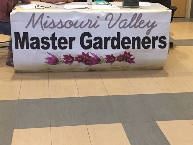 Emerald Ash Borers Continue Slow Spread