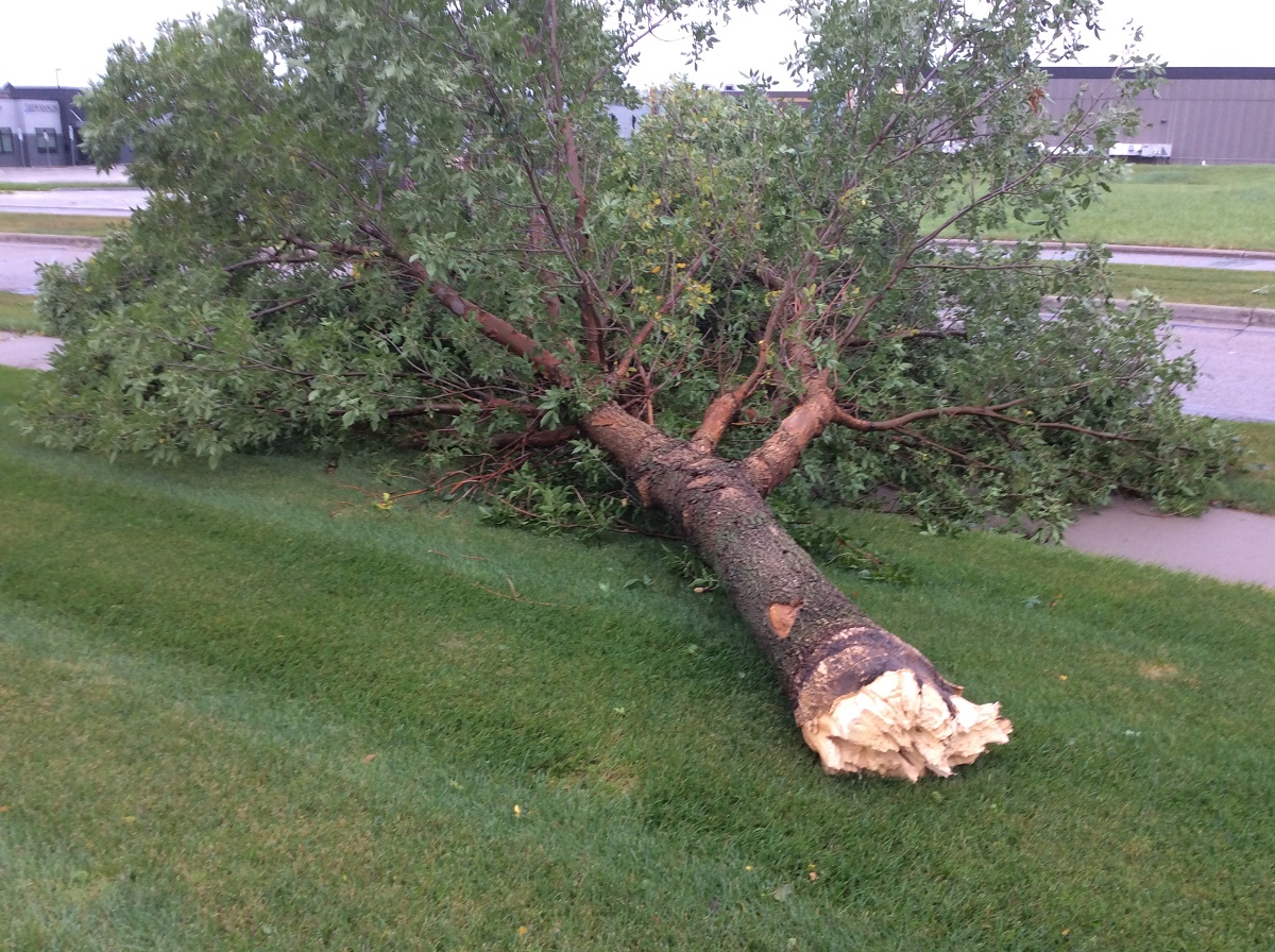 SD Storm Recovery Continues
