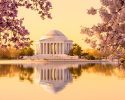 Cherry Blossoms and Washington DC March 26-31 and April 2-7, 2026