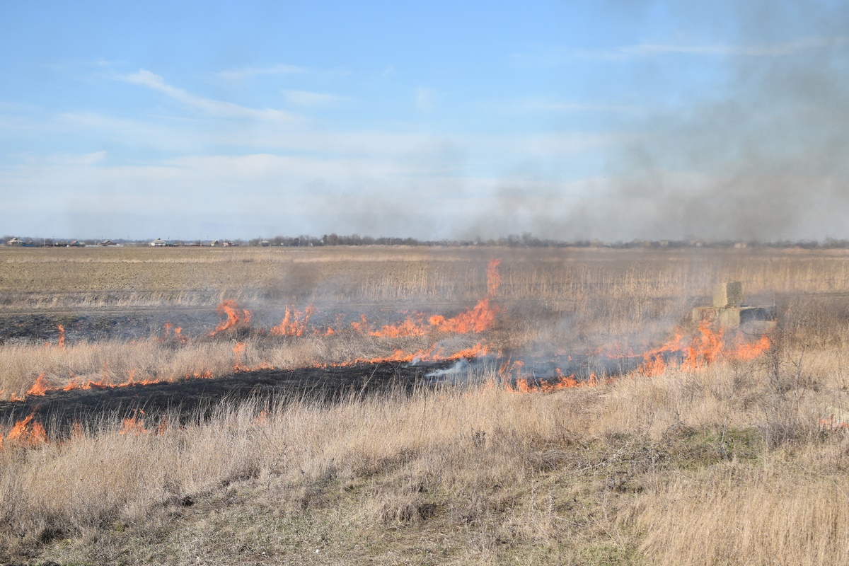 Extension Specialist Advises Testing All Feed For Nitrates During Drought