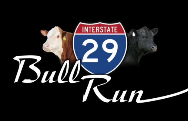 I-29 BULL RUN 10th Anniversary Sale