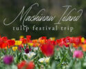 Mackinac Island and Tulip Festivals May 7-13, 2026
