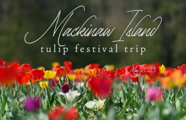 Mackinac Island and Tulip Festivals May 9-15, 2024 (Sold Out)