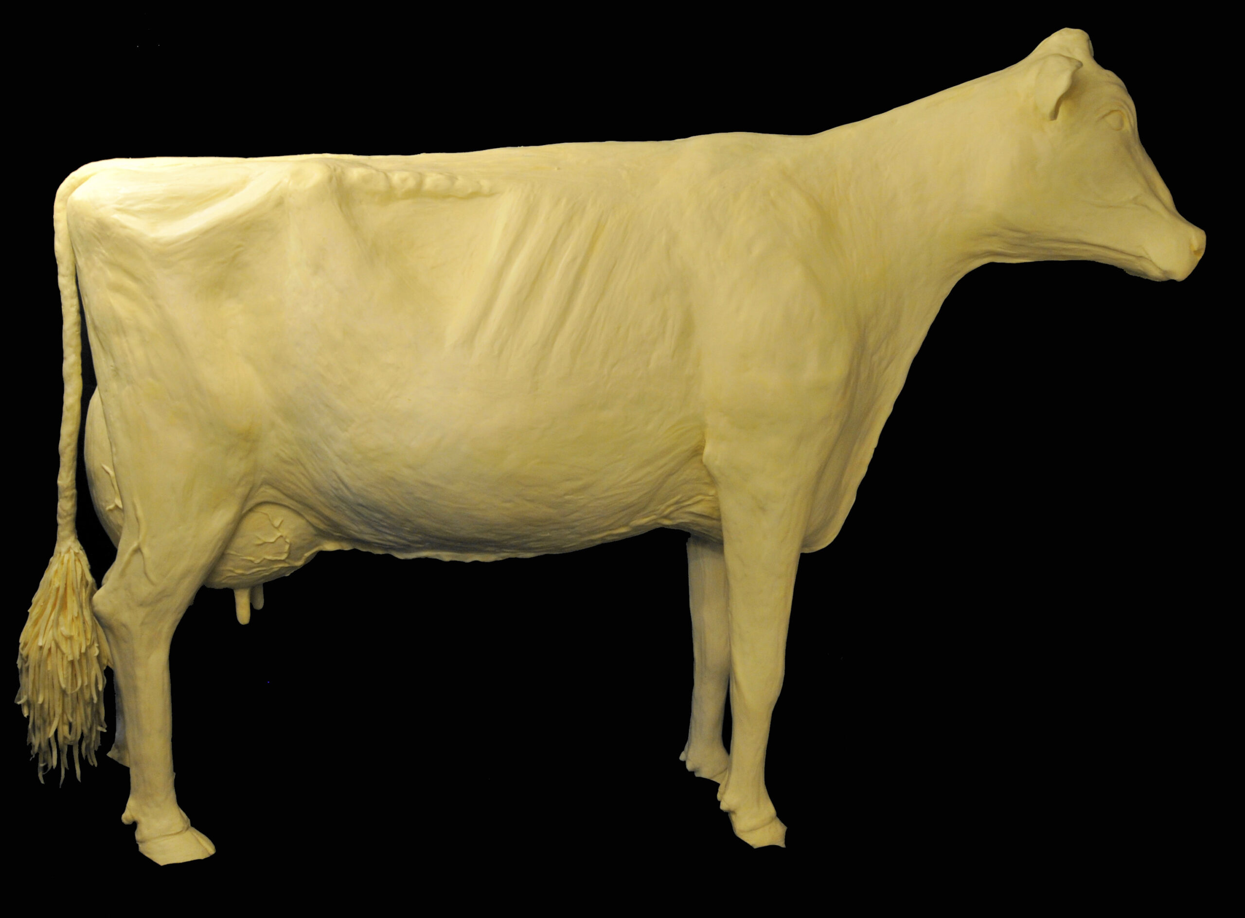 Sculptor Talks About Butter Cow At The Iowa State Fair