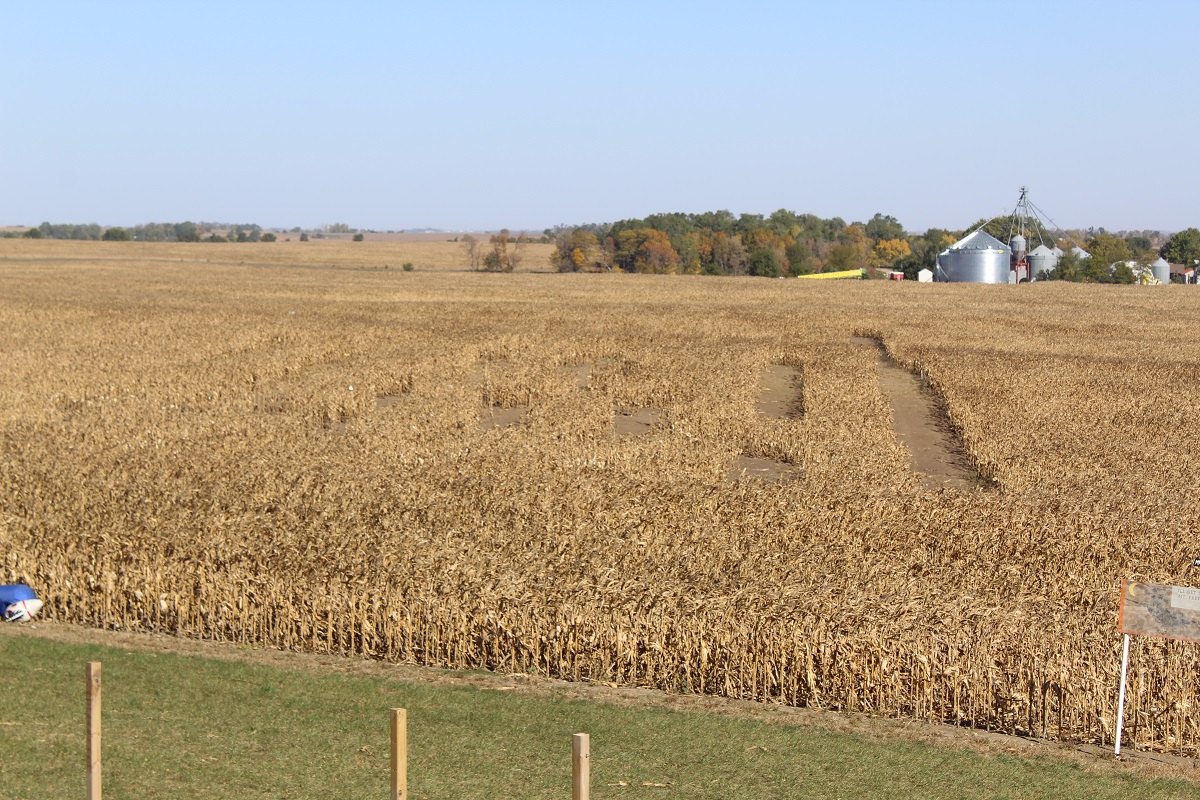 Interest Rates going higher? Interest Rates going higher?
