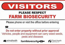 Biosecurity On Hog Farms