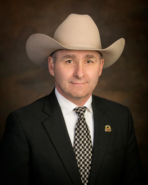 A Big Cattle Convention