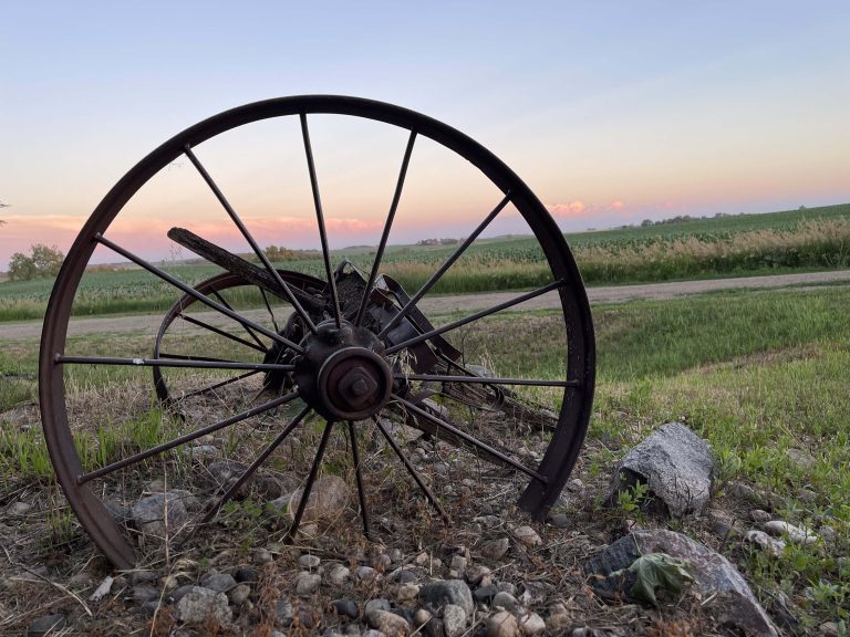 Their Annual Convention