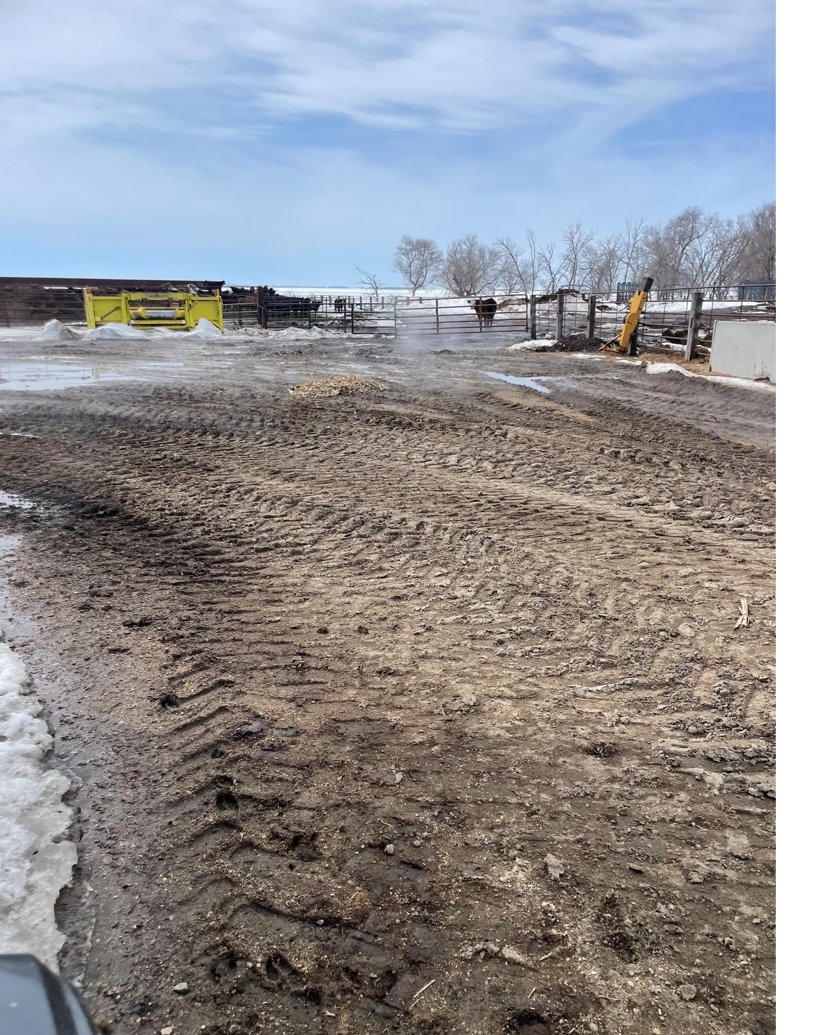 Dry Ground Soaking up Melting Snow