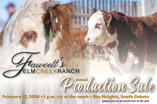 Fawcett’s Elm Creek Ranch Annual Production Sale