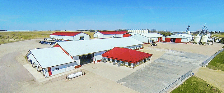 Reviewing our disease issues