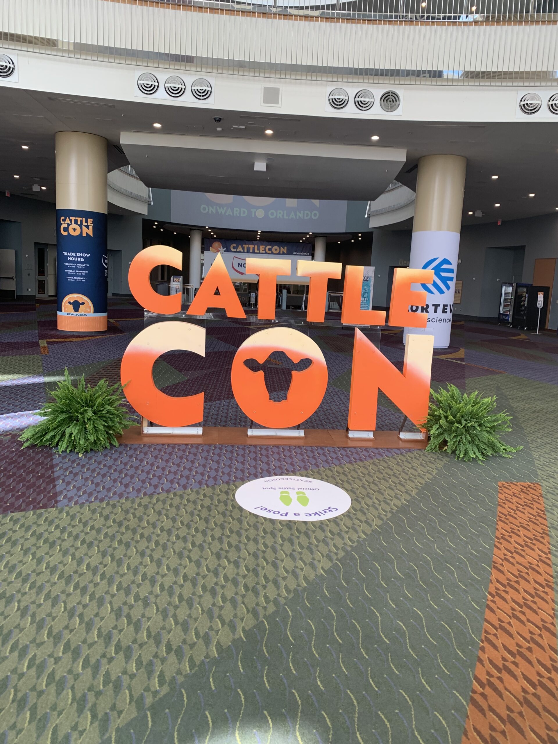 Working on International Trade