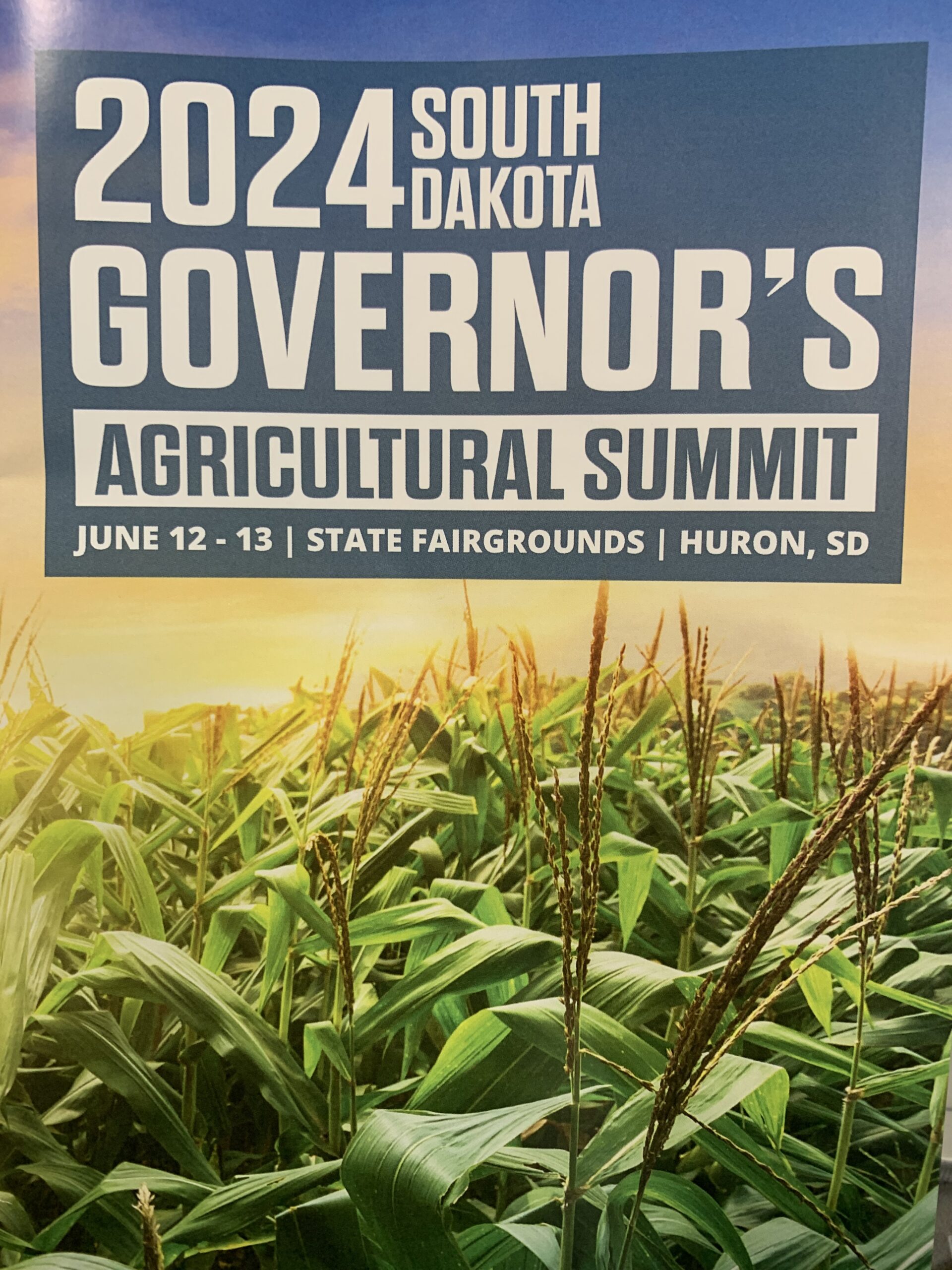 An Update on the Bird Flu An Update on the Bird Flu