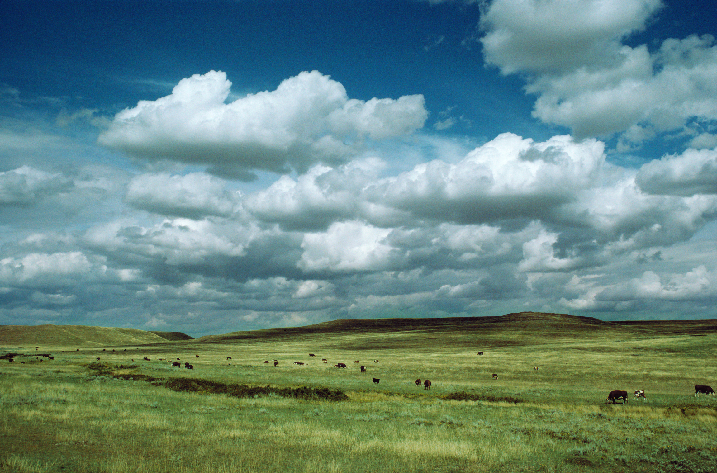 Nebraska Ag Land Value Drops 2% For the First Time in Six Years