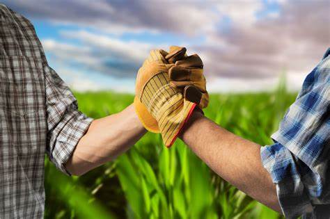 Trade Deal for Grain