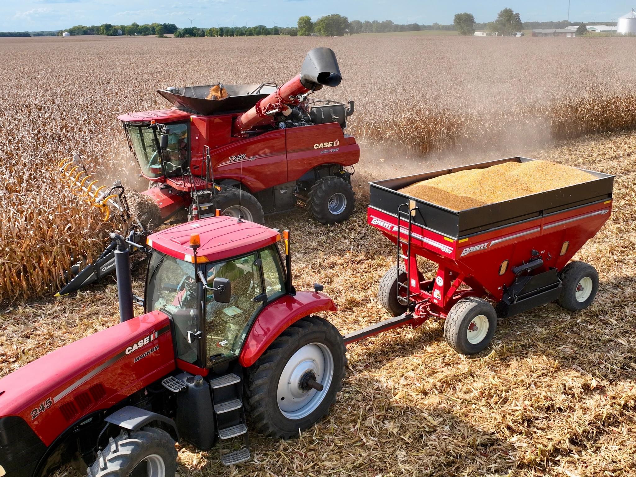Our Grain Markets gain support