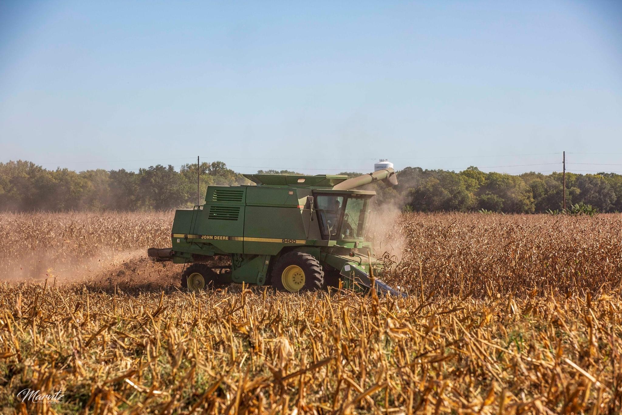 Hoegemeyer Hybrids Harvest Update