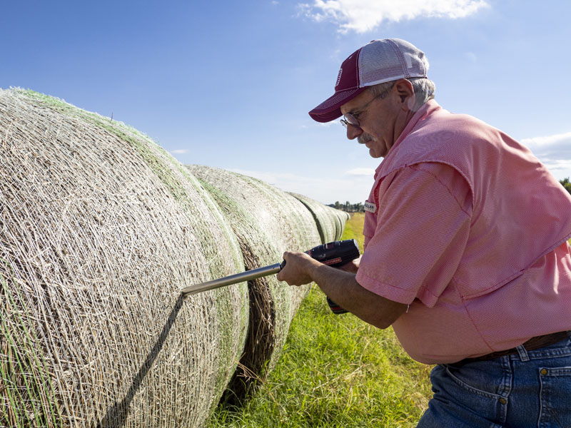 Why You Should Test Your Hay