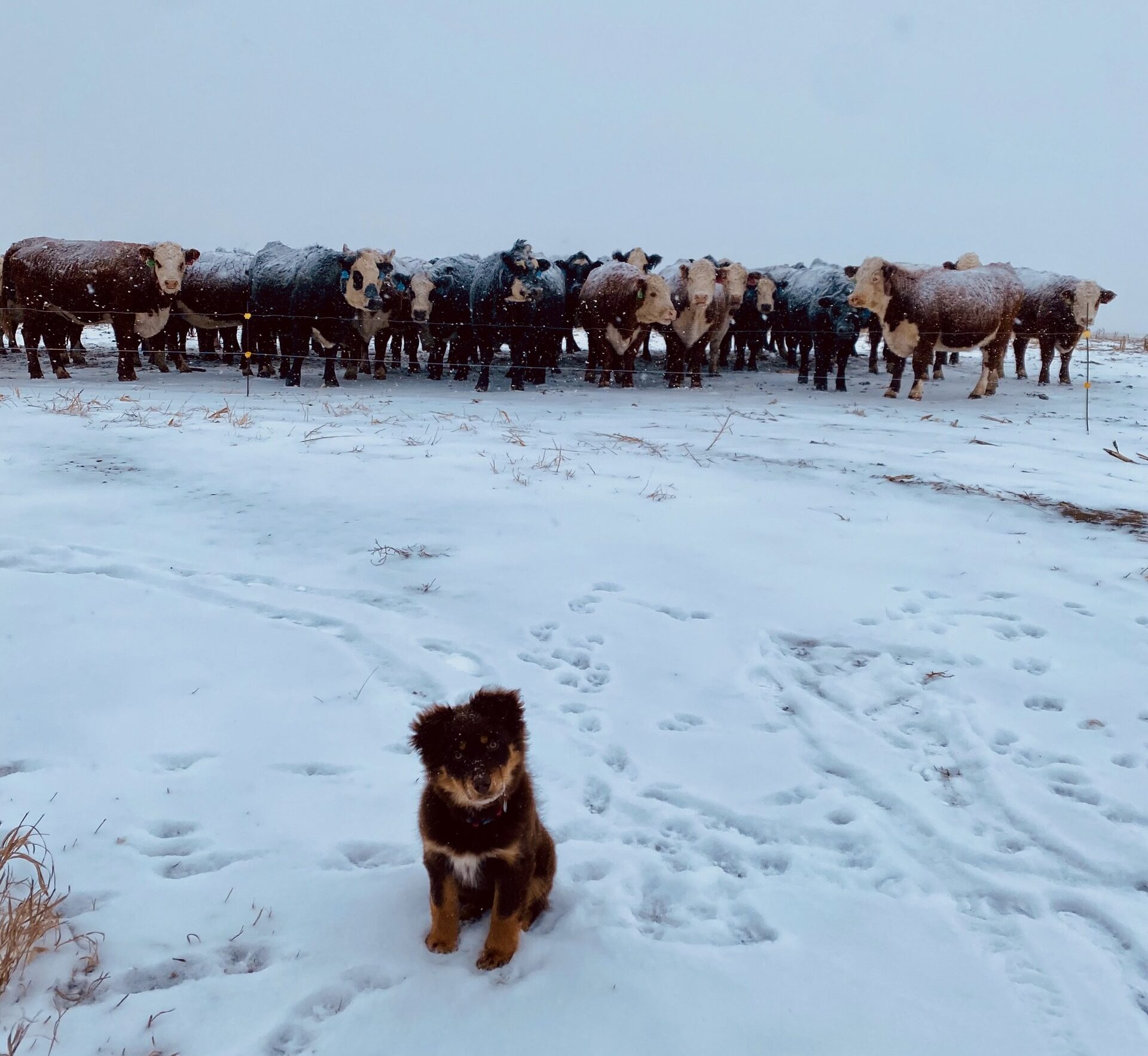 Return of Winter Weather