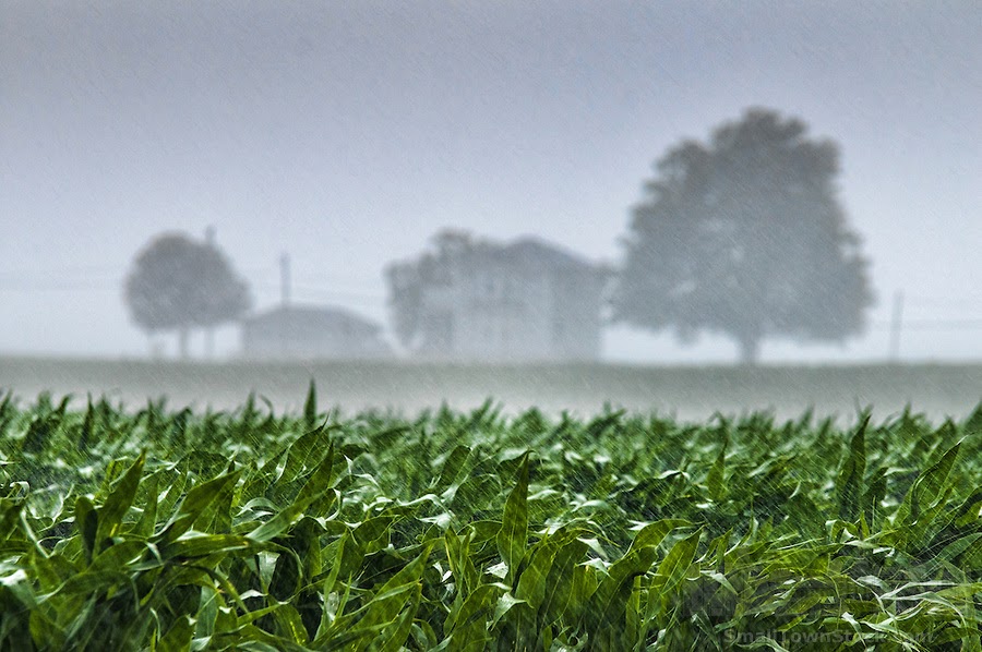 Crop Conditions Near Salem, SD