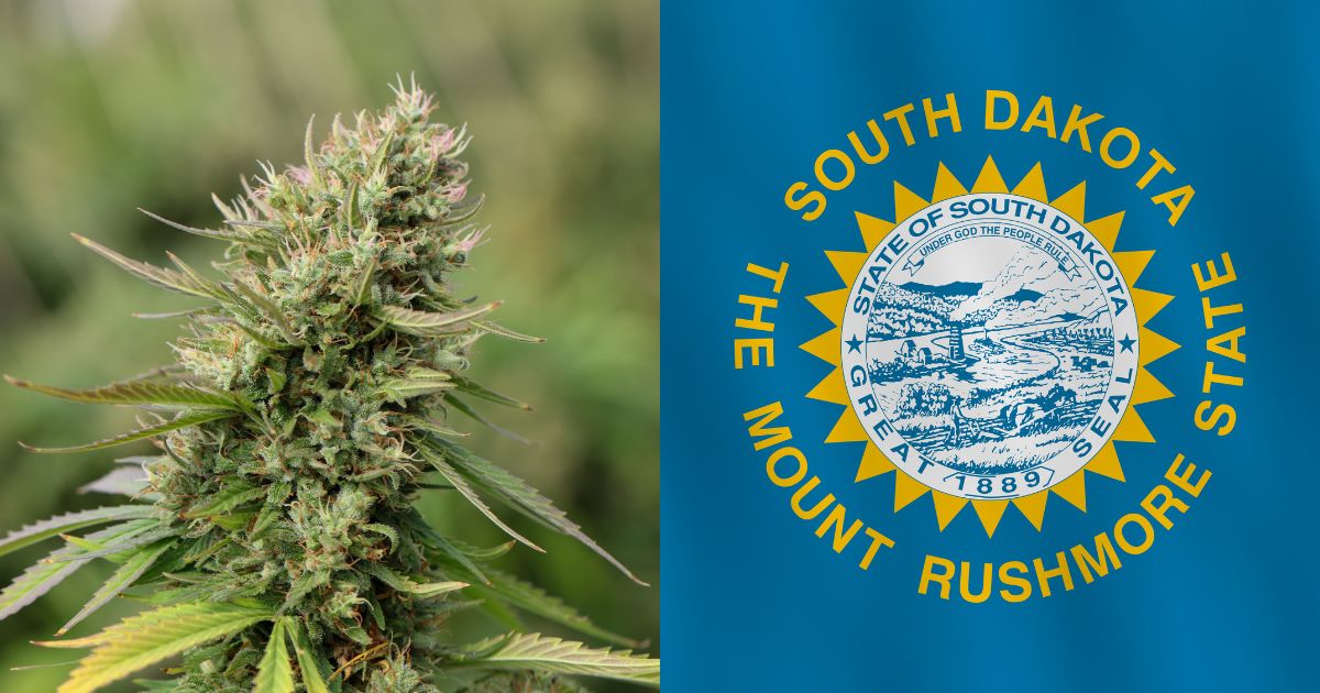 MEDICAL MARIJUANA RIFT WIDENS AS OVERSIGHT PANEL CONFUSES AND UPSETS INDUSTRY WITH SLATE OF MOTIONS MEDICAL MARIJUANA RIFT WIDENS AS OVERSIGHT PANEL CONFUSES AND UPSETS INDUSTRY WITH SLATE OF MOTIONS