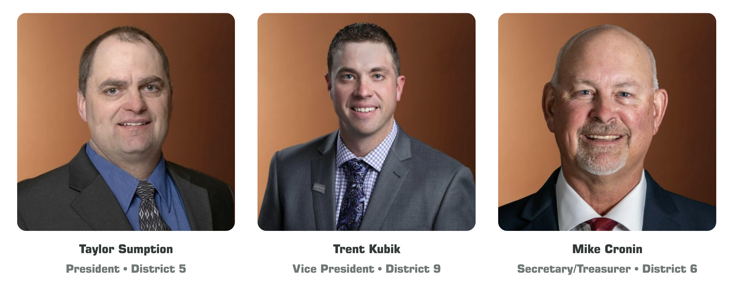 Reviewing the main topics