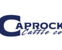 Caprock Cattle Company - The First Pour Bull Sale