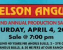 Nelson Angus Ranch - Sale Postponed
