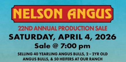 Nelson Angus Ranch – Sale Postponed