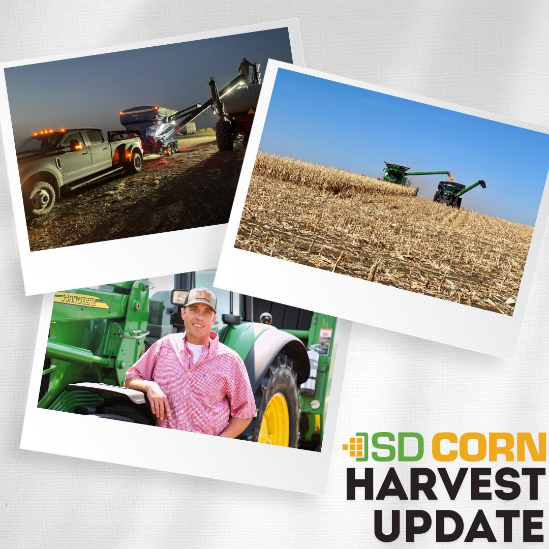 High Crop Input Costs High Crop Input Costs