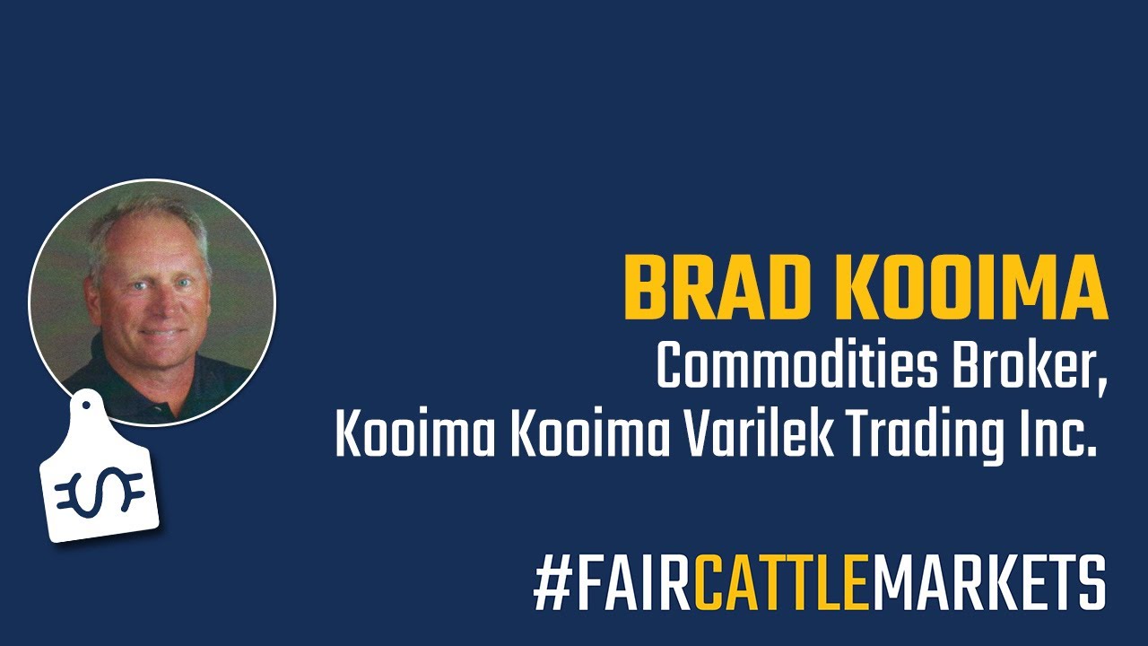 Cattle Market Review