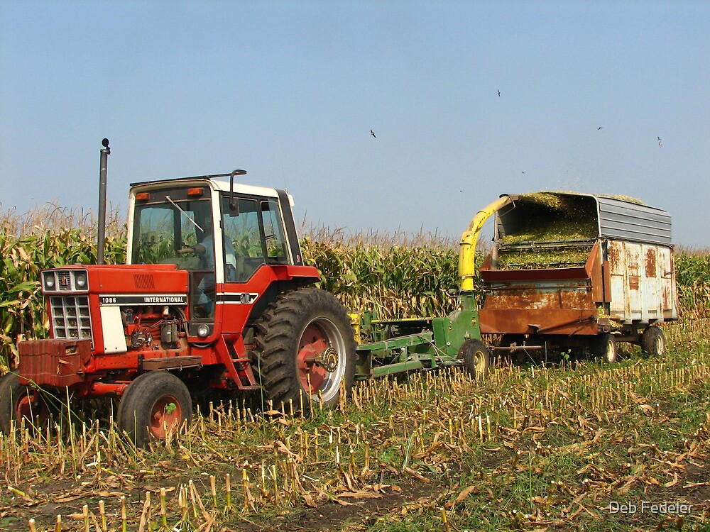 Crop Conditions Vary